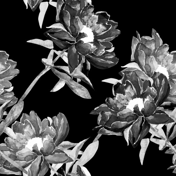 红牡丹图案。图片下载