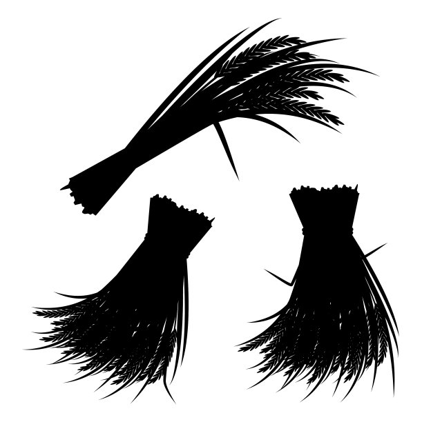 水稻束剪影农业收获图片下载