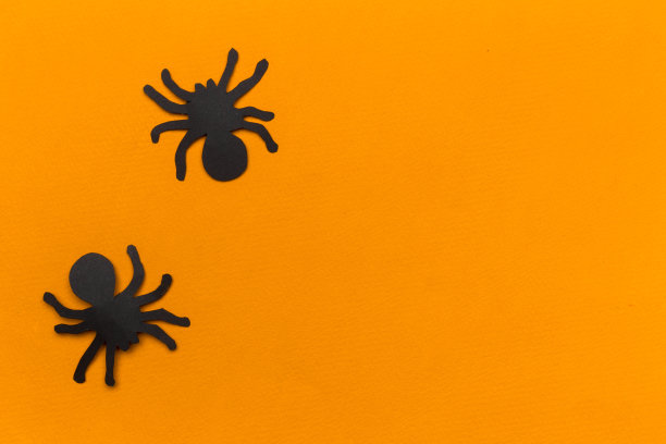 万圣节派对的装饰。图片下载