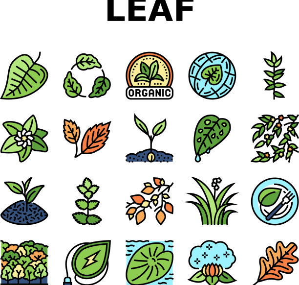 树叶分枝自然树叶树图标设置图片下载