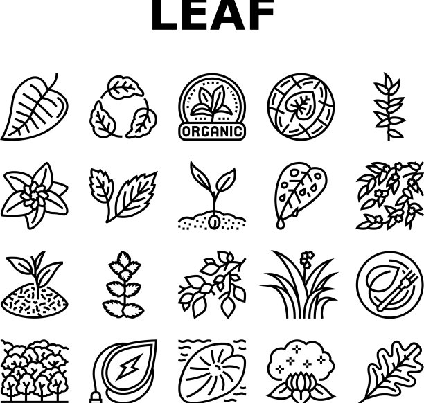 树叶分枝自然树叶树图标设置图片下载