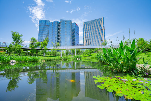 阳光金融城和大桥图片下载