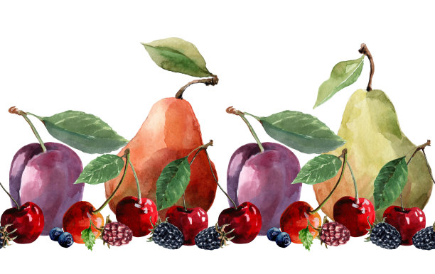 无缝果边生态熟梅子、洋李、樱桃、蓝莓、黑莓。夏季植物边缘图案在白色背景。手画水彩。图片下载