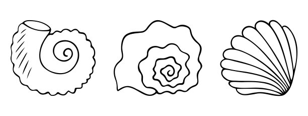 贝壳是一组水下化石，风格像涂鸦图片下载