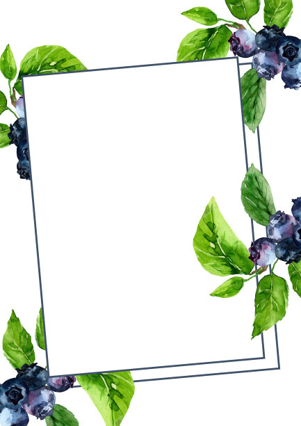 草莓和蓝莓叶放在一个长方形的框架里。优雅的水果莓框放置文字。水彩手绘插图在白色背景。图片下载