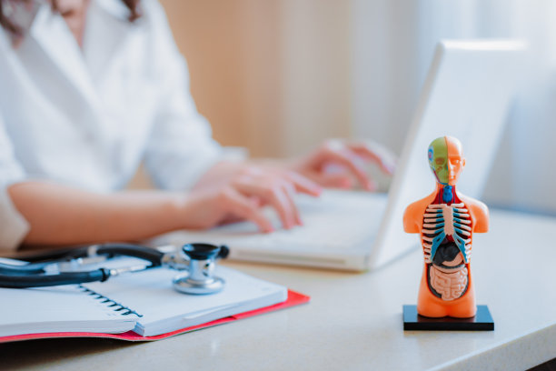 医生手部特写人体器官解剖模型笔记本电脑在线医生会诊。图片下载