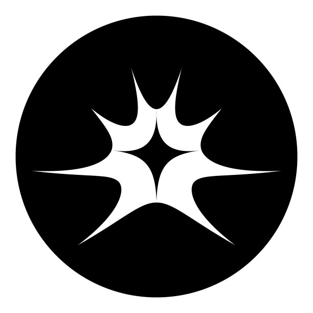 白色背景上的扁平星爆图标图片下载