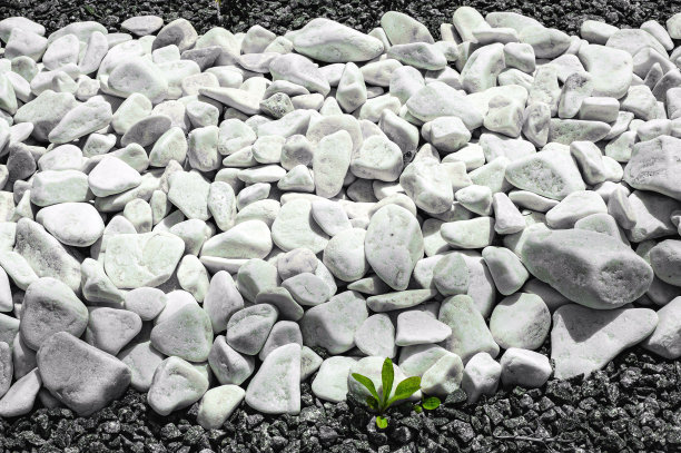 鹅卵石，白色的小石子，质感的石头。花坛设计，绿植园林装饰图片下载