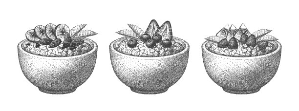碗状格兰诺拉麦片。水果，浆果和坚果，薄荷。燕麦早餐，燕麦粥。燕麦片。向量草图。现实的插图。图片下载