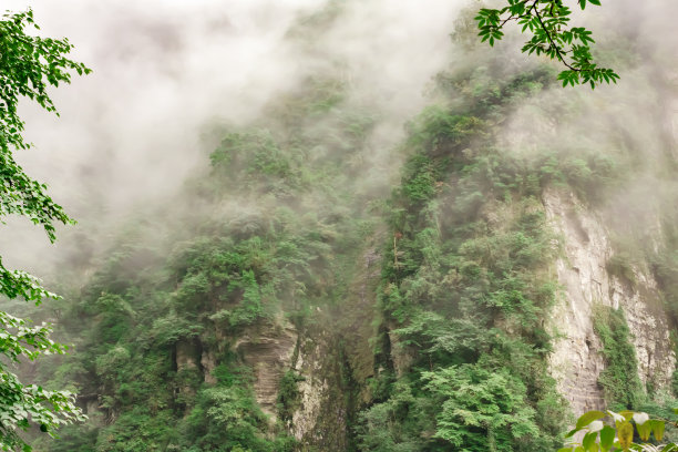 峨眉山上的云、山、雾图片下载