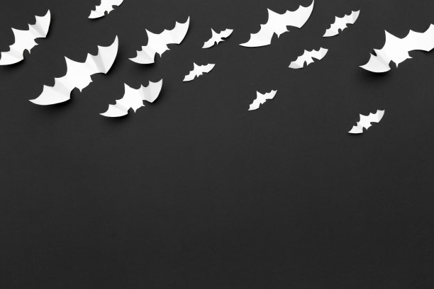 万圣节装饰概念——纸蝙蝠飞图片下载