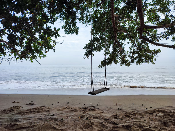 海滩上的秋千图片下载