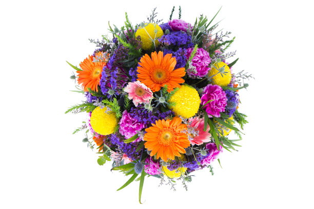 圆圈混合花在白色背景图片下载