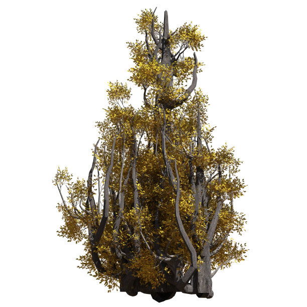 幻想树3d插图孤立在白色背景图片下载