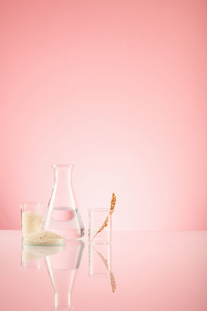 大米提取物实验拍摄，配有实验设备和透明讲台，产品留白，有益健康和护肤，化学含量图片下载