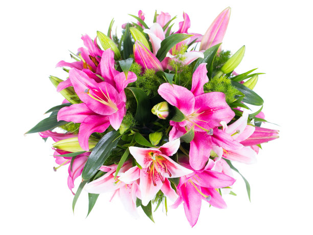 粉绿花束图片下载