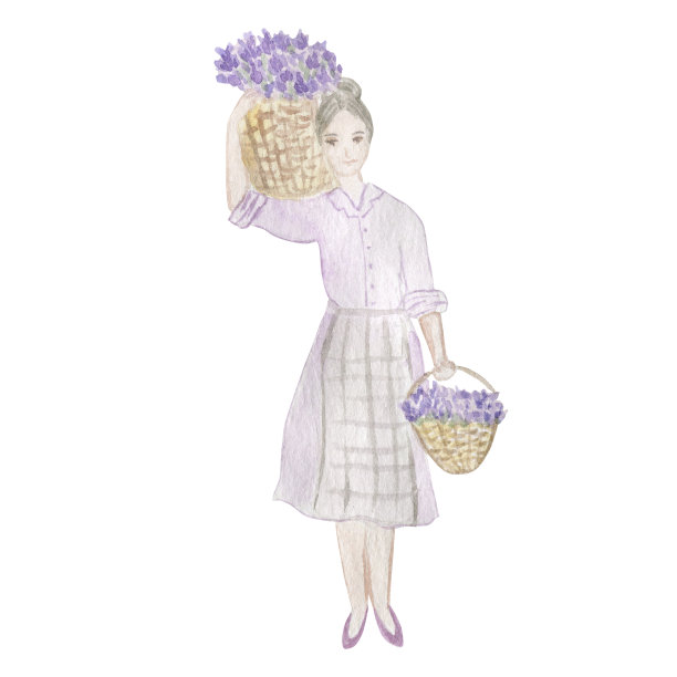 拿着篮子和一束薰衣草的女孩。水彩插图。图片下载