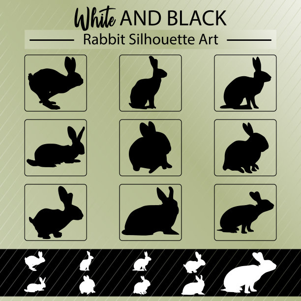 兔子艺术兔子爱好者图片下载