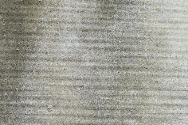 因受潮而长满真菌的灰色石板的有纹理的表面图片下载