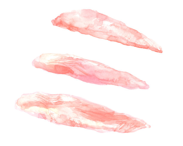 水彩画鸡胸的插图图片下载