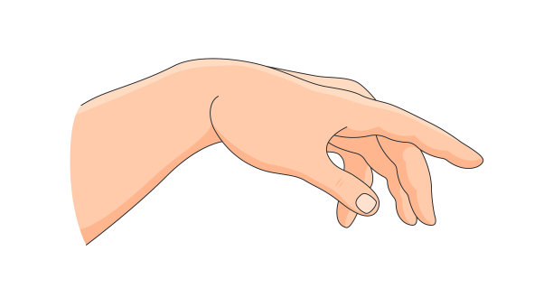 修剪整齐的一只手孤立在白色背景上图片下载