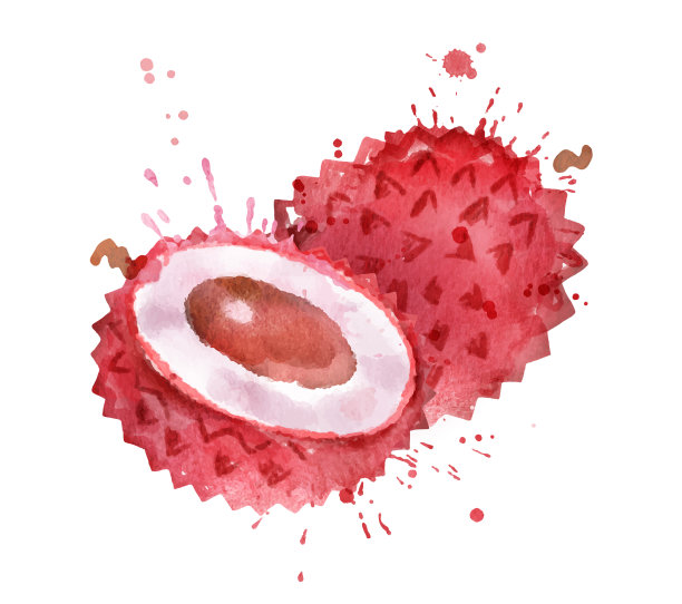 水彩的荔枝图片下载