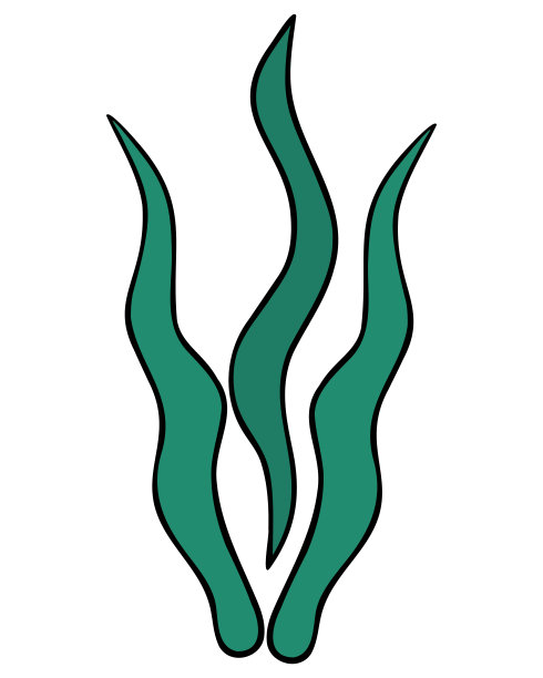 绿藻。水下植物生长在海底。海带。颜色向量插图。水族装饰。孤立的背景。图片下载