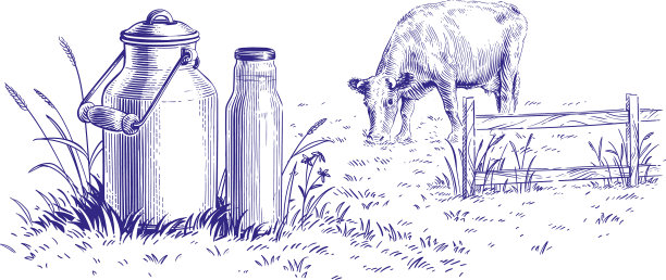 罐装牛奶和奶牛手绘草图图片下载