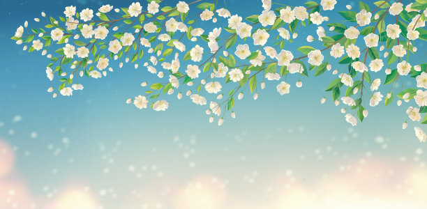 装饰背景的春天主题，与一个开花的树枝的果树。图片下载