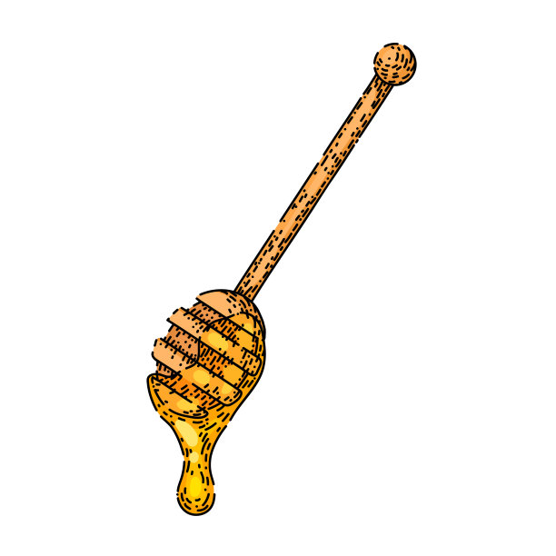 勺子蜂蜜素描手绘矢量图片下载