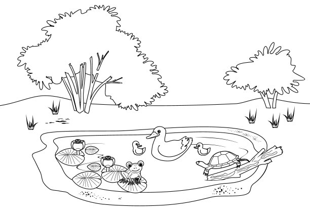 画页上有池塘，有睡莲，有鸭子，有小鸭子，有乌龟，有青蛙图片下载