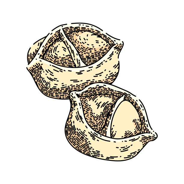 曼蒂食物素描手绘矢量图片下载