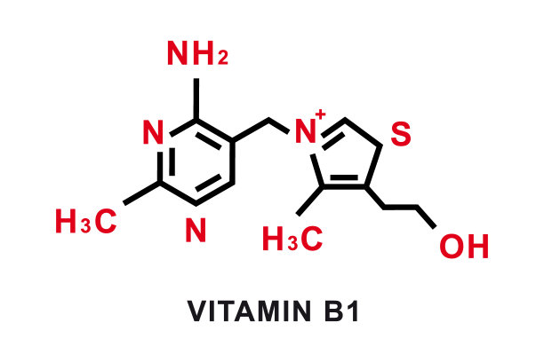 维生素B1的化学式。维生素B1的化学分子结构。矢量图图片下载