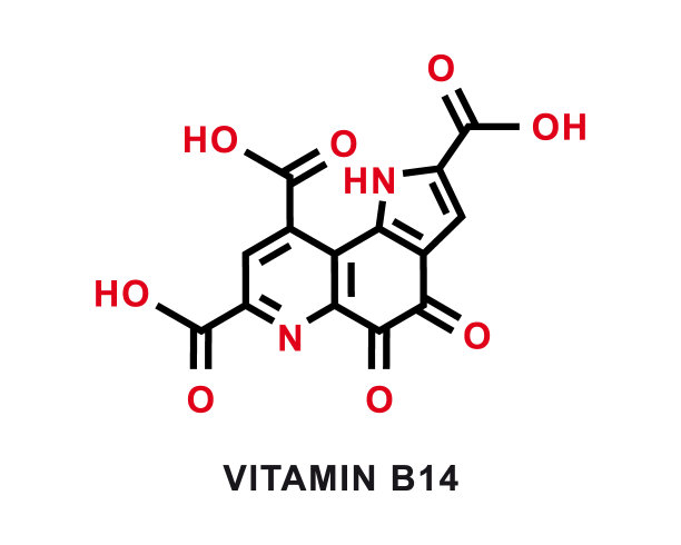 维生素B14的化学配方。维生素B14的化学分子结构。矢量图图片下载
