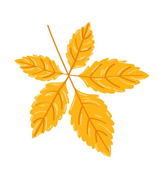 白色背景的秋叶。矢量图图片下载