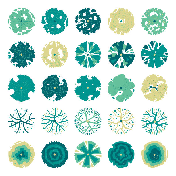 手绘的俯视图树图片下载