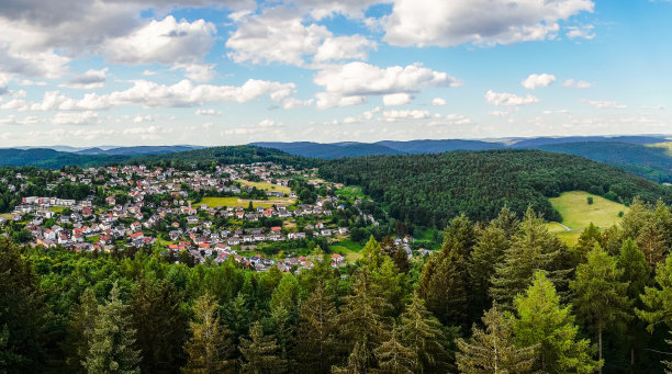 威廉姆斯菲尔德附近的丘陵景观全景，在Baden-Württemberg。青山绿水，绿意盎然。图片下载