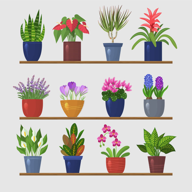 现代家具装饰的架子上的花图片下载