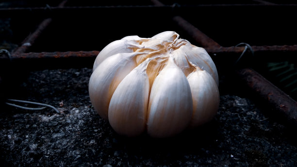 老井边的蒜头特写图片下载