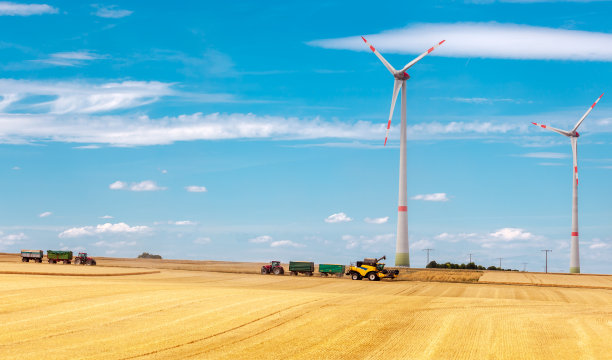 地平线上的拖拉机和拖车。“割麦”是在麦田里工作的现代联合收割机。收割小麦。图片下载