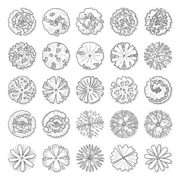 手绘的俯视图树图片下载