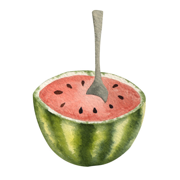 用勺子画半个西瓜。白色背景上的高质量插图图片下载