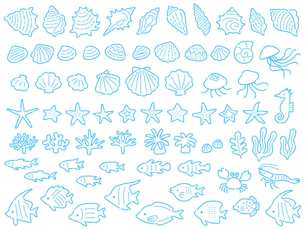 线条绘制插图的各种海洋生物图片下载