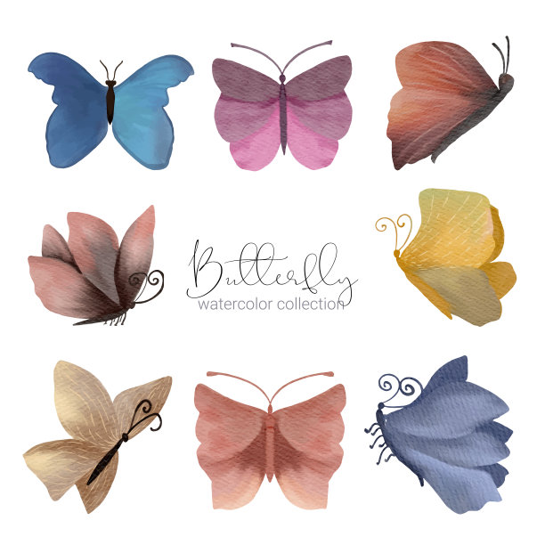 五颜六色的奇异蝴蝶野生昆虫在水彩风格。向量的卡通插图图片下载