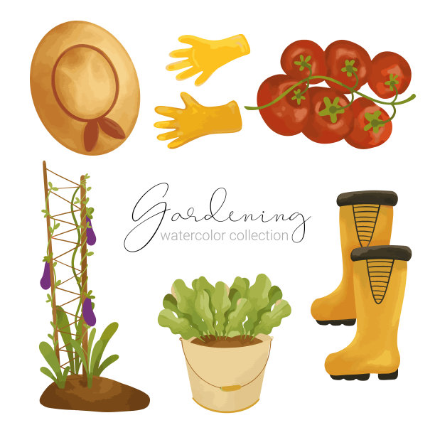 美丽的水彩套花园工具，配件和植物。图片下载
