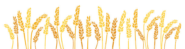 麦穗金刻边背景农艺剪影压金面制作图片下载