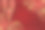 中国节日横幅设计与灯笼和红色的鲜花枝在红色图案背景为您的拷贝空间。图片下载