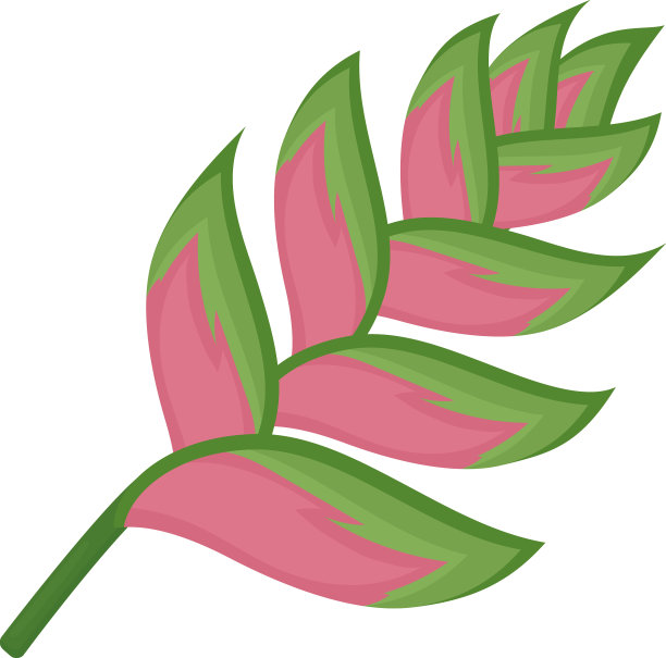 海里康属植物花朵图标图片下载