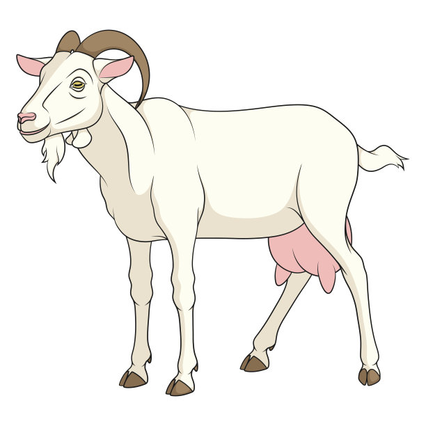 彩色图像和一只白色的现金山羊。孤立的矢量对象。图片下载