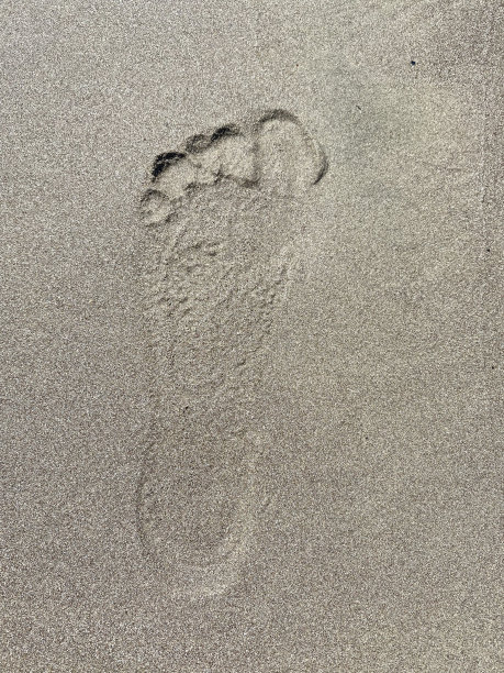 沙滩附近湿沙滩上的脚印图片下载